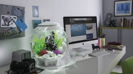biOrb Halo 15 MCR Wit