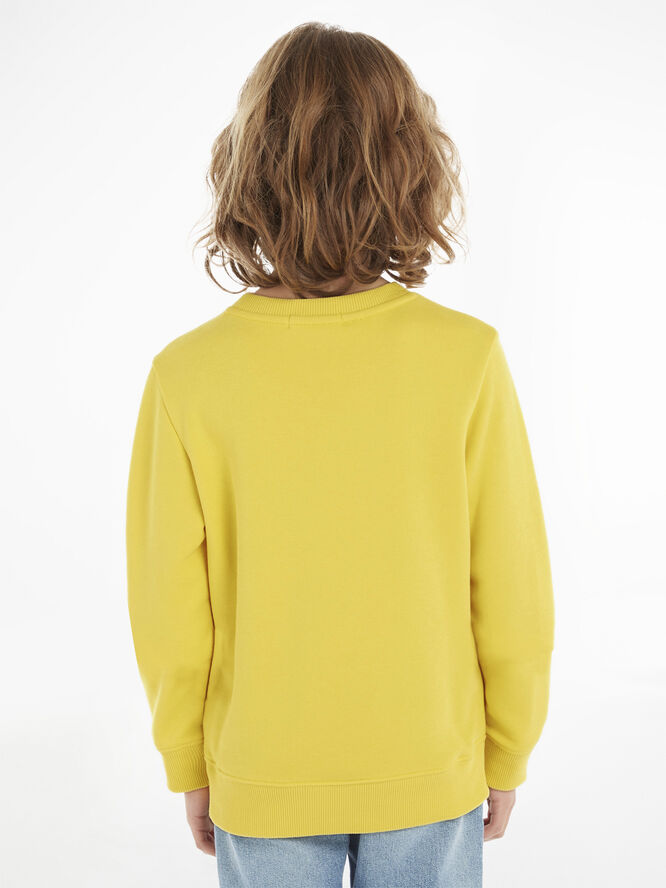 Calvin Klein Sweatshirt with logo Zhz