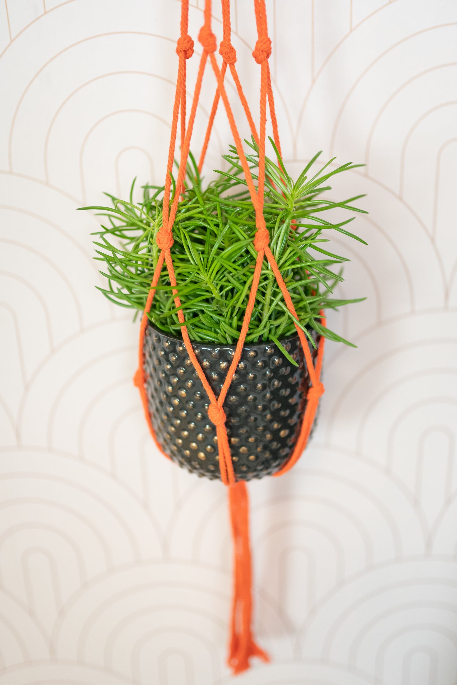TS plantenhanger macramé oranje H 120 cm