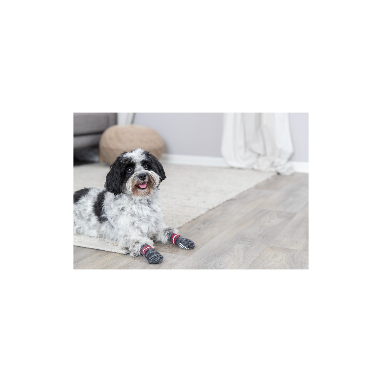 Trixie Hundesocken 2 Stück, Größe L