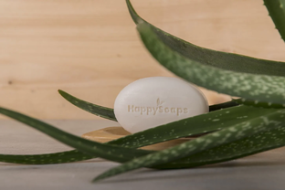 HappySoaps Aloevera Shavingbar 80GR