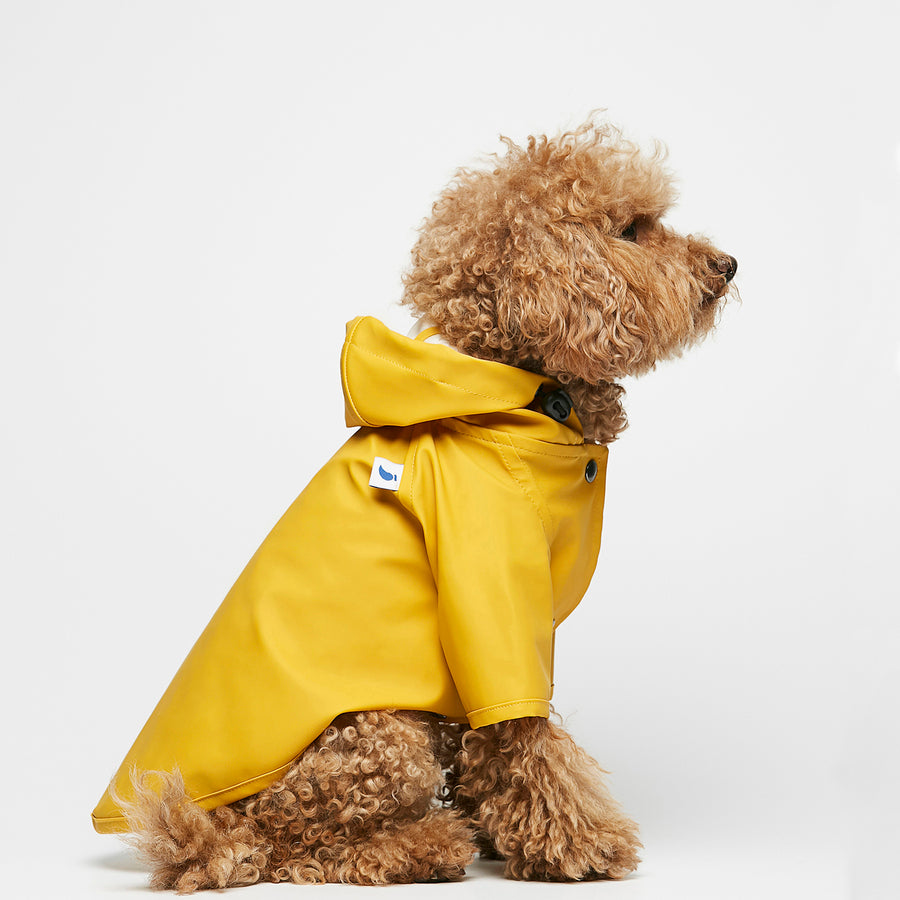 Capa de chuva Sarah