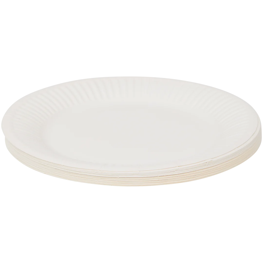 Assiettes en carton