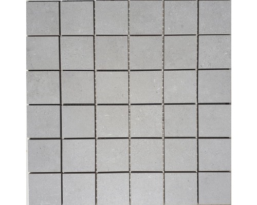 Mozaïekstructuur Perla 30 x 30 cm