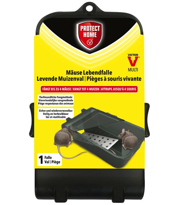 PROTECT HOME Mäuse Lebendfalle Multi, 1 Stk.