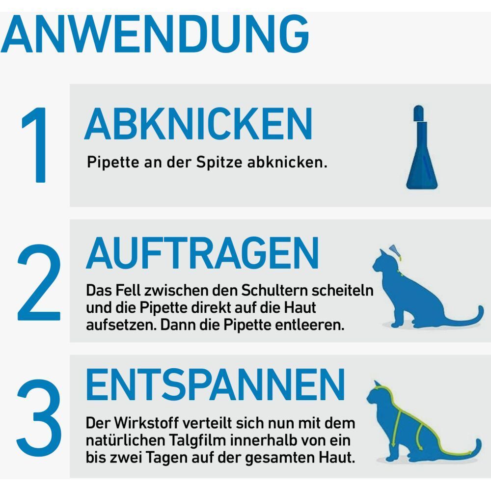 FRONTLINE® SPOT ON Katze gegen Zecken und Flöhe