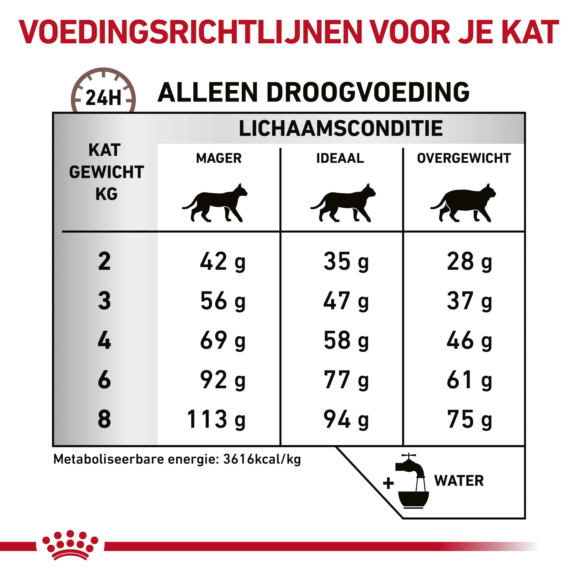 Royal Canin Gastrointestinal Hairball Kat