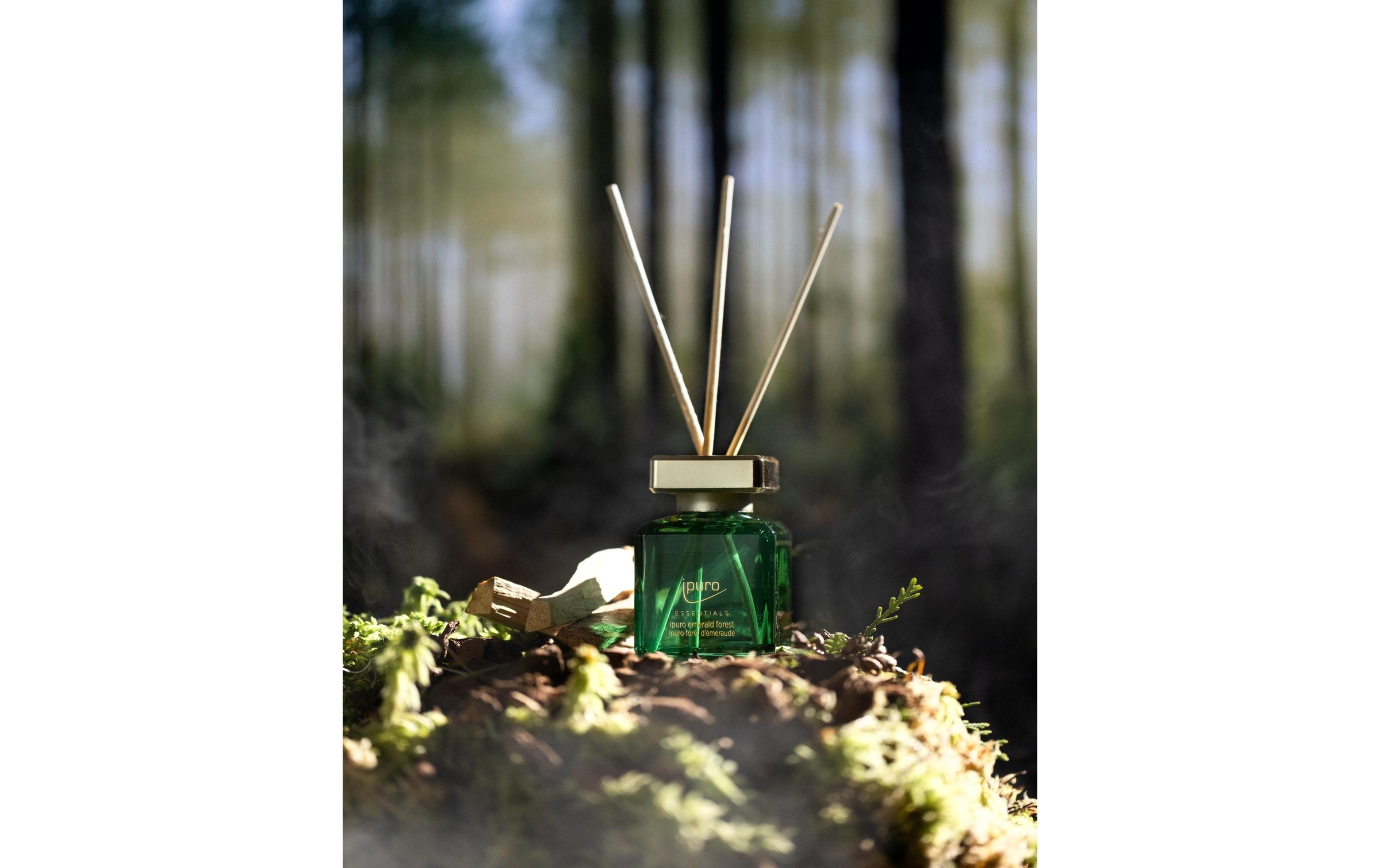 IPURO Duftstäbchen »emerald forest 100 ml«