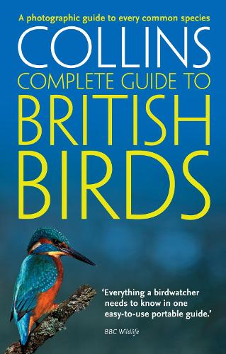 British Birds: A Photographic Guide to Every Common Species - Collins Complete Guide (Paperback)