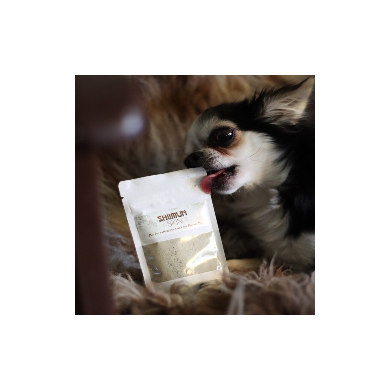 Marsapet Shiimun Skin Pulver für Hunde und Katzen mit Shiitake - 120g