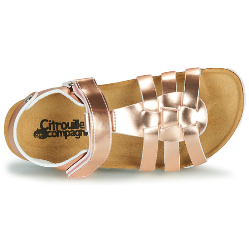 Citrouille et Compagnie - MALIA - Rose