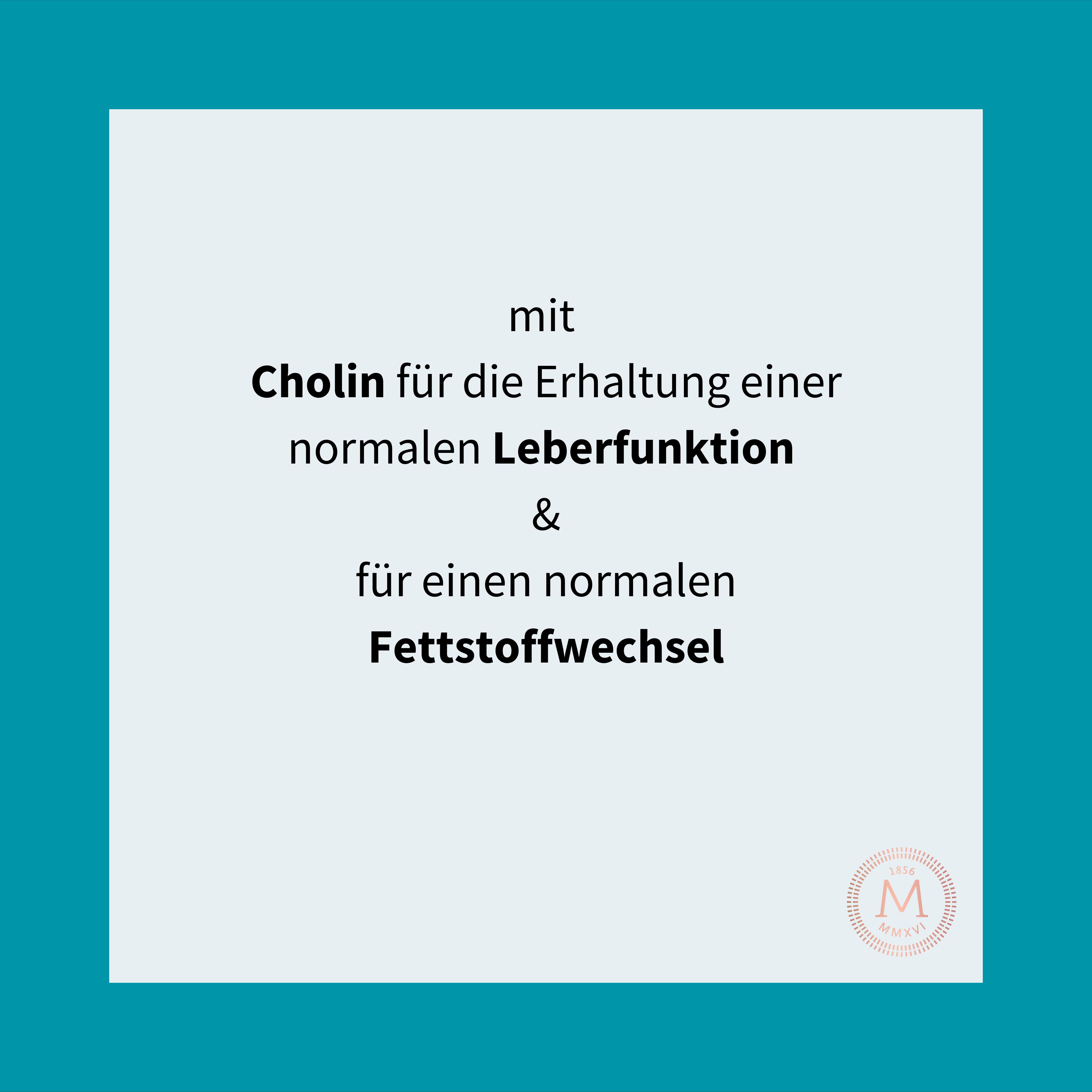 MEDICUSAN No. 2 Leber Vitalstoffkomplex