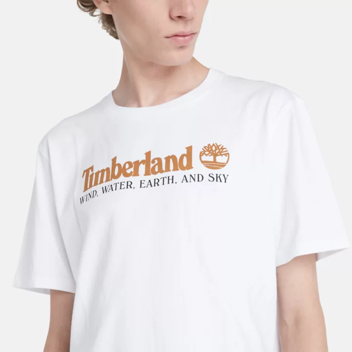 Camiseta masculina branca com estampa de vento, água, terra e céu.