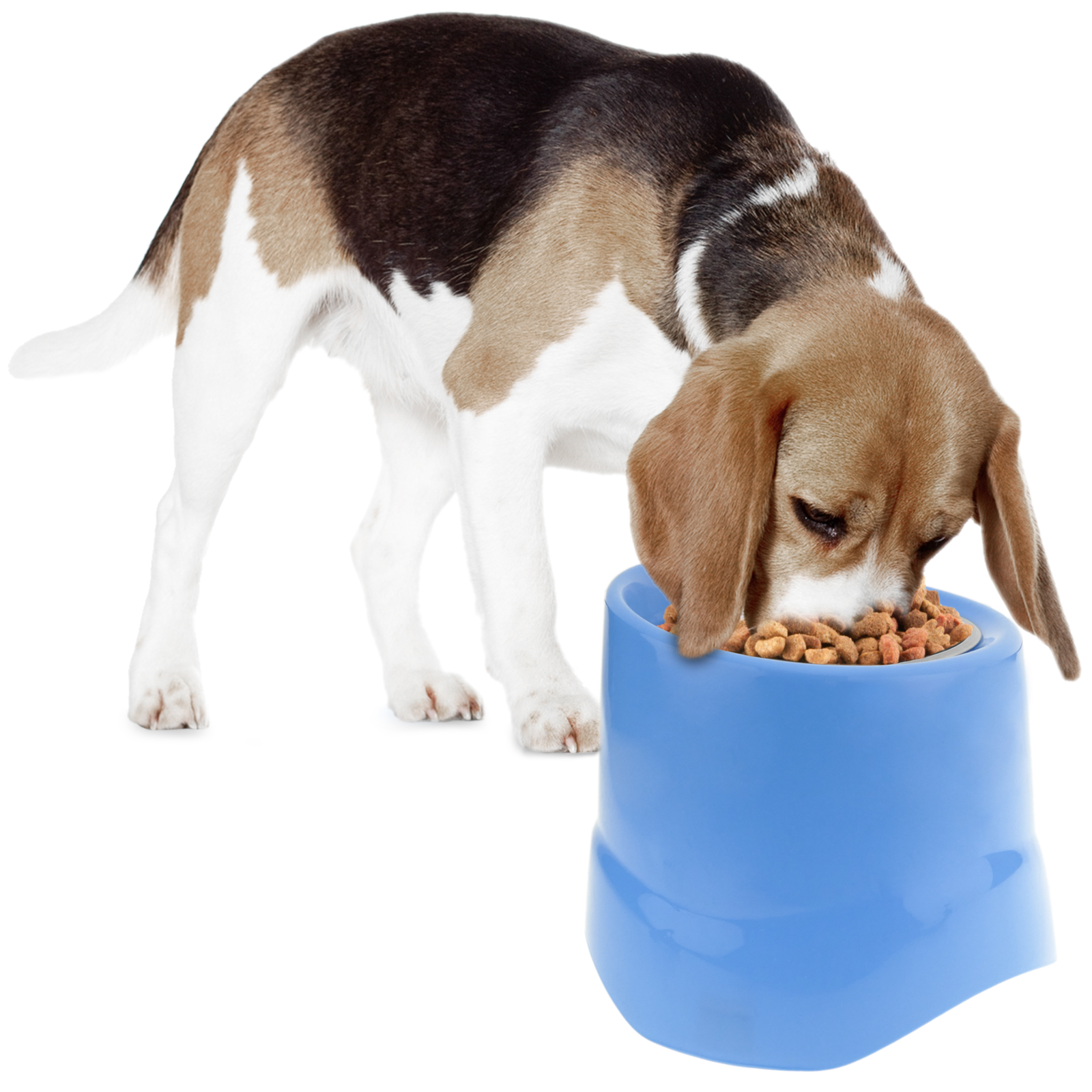 Tigela elevada para cães e gatos, 14 cm