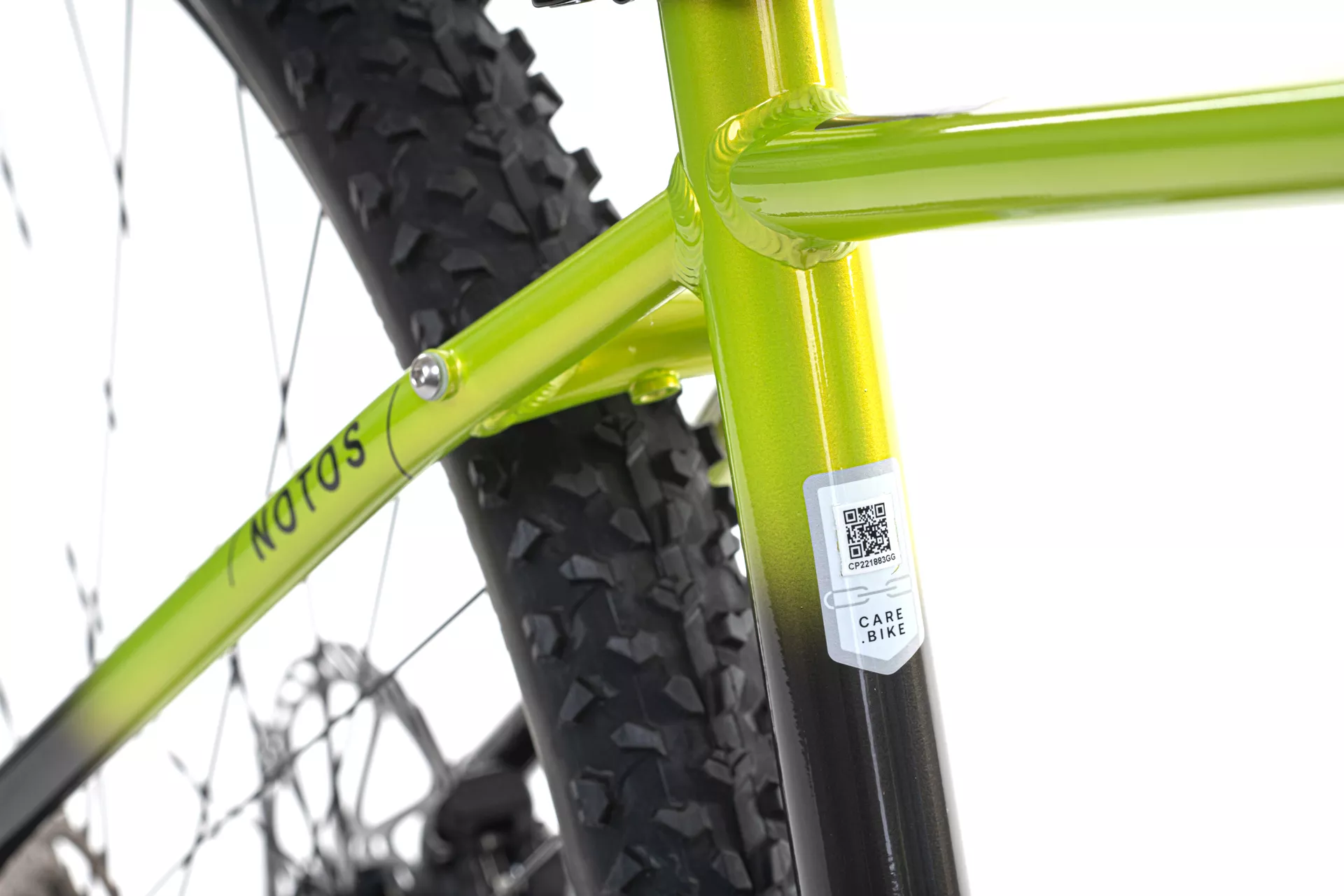 LEVIT NOTOS 7 29