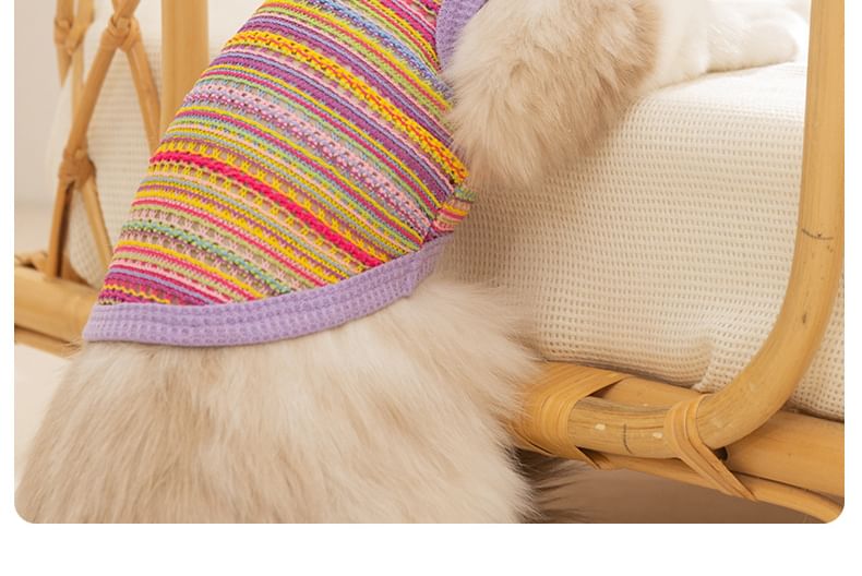 Cissilli - Gestreepte Pet Top