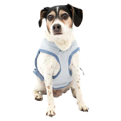 Kurgo Core Cooling Vest
