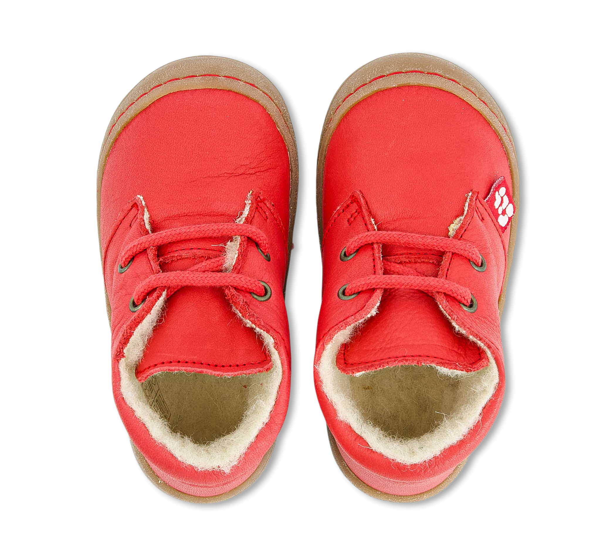 Pololo Juan rot