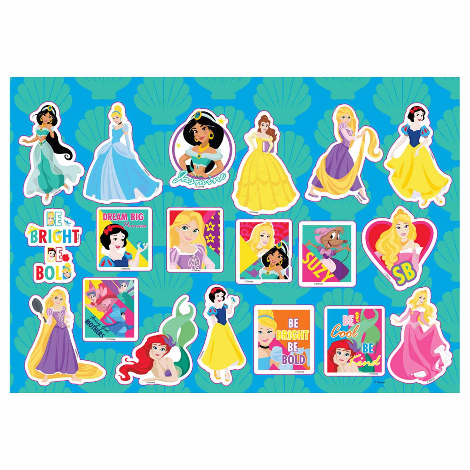 Disney Prinses Kleurplaten met Stencil en Stickervel