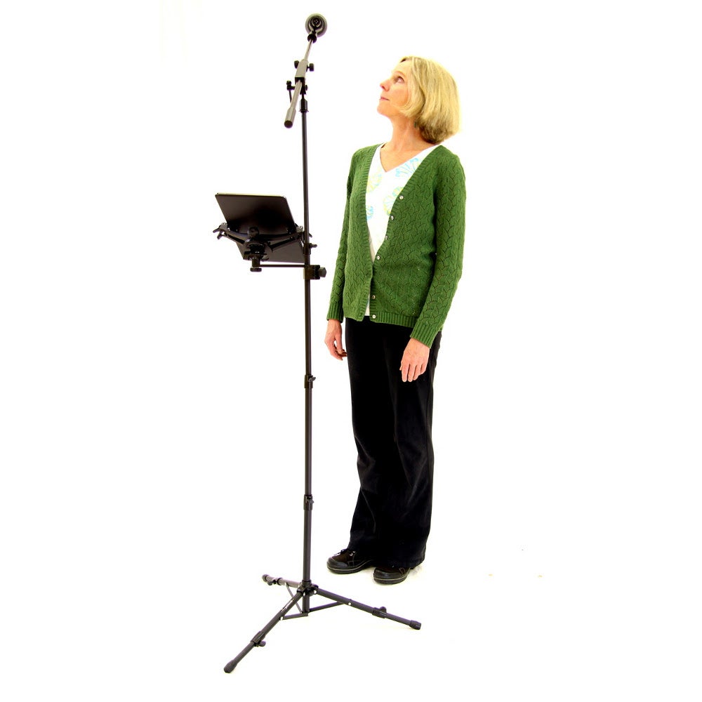 AirTurn goSTAND