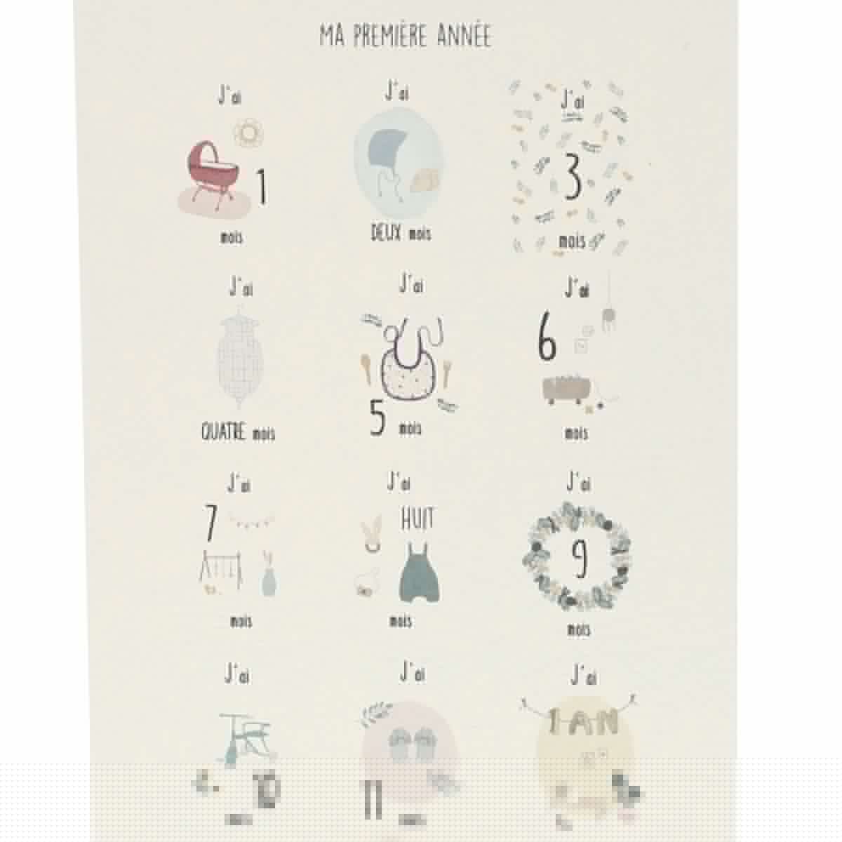 Lot de 12 cartes Ma première année de bébé Atelier jasmin