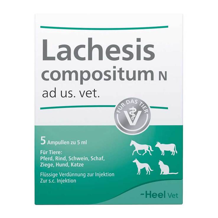 Lachesis Compositum N Ampullen vet. (für Tiere), 5 St