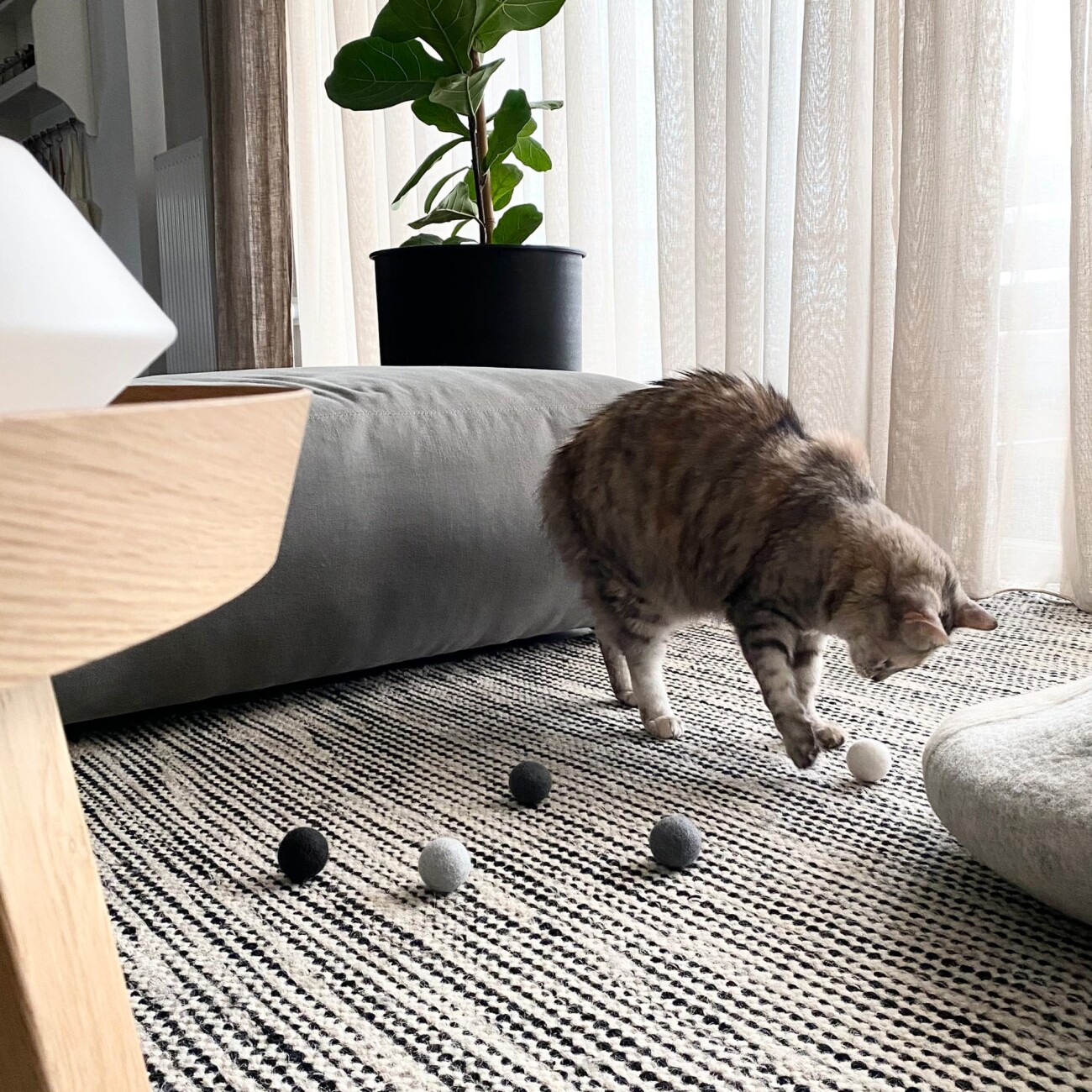 LucyBalu SHADES OF GREY Katzen Filzbälle