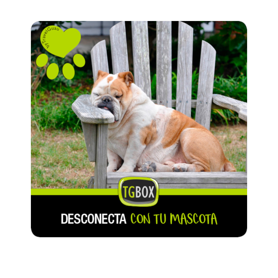 TGBOX Relaxe com seu animal de estimação