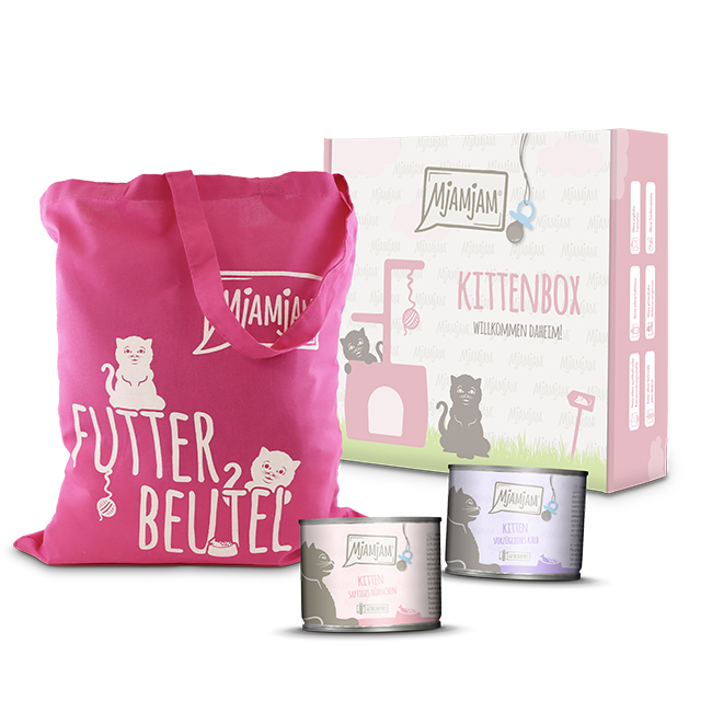 Kittenbox