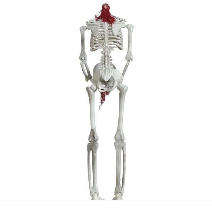 Halloween Skelet Zonder Hoofd 37cm