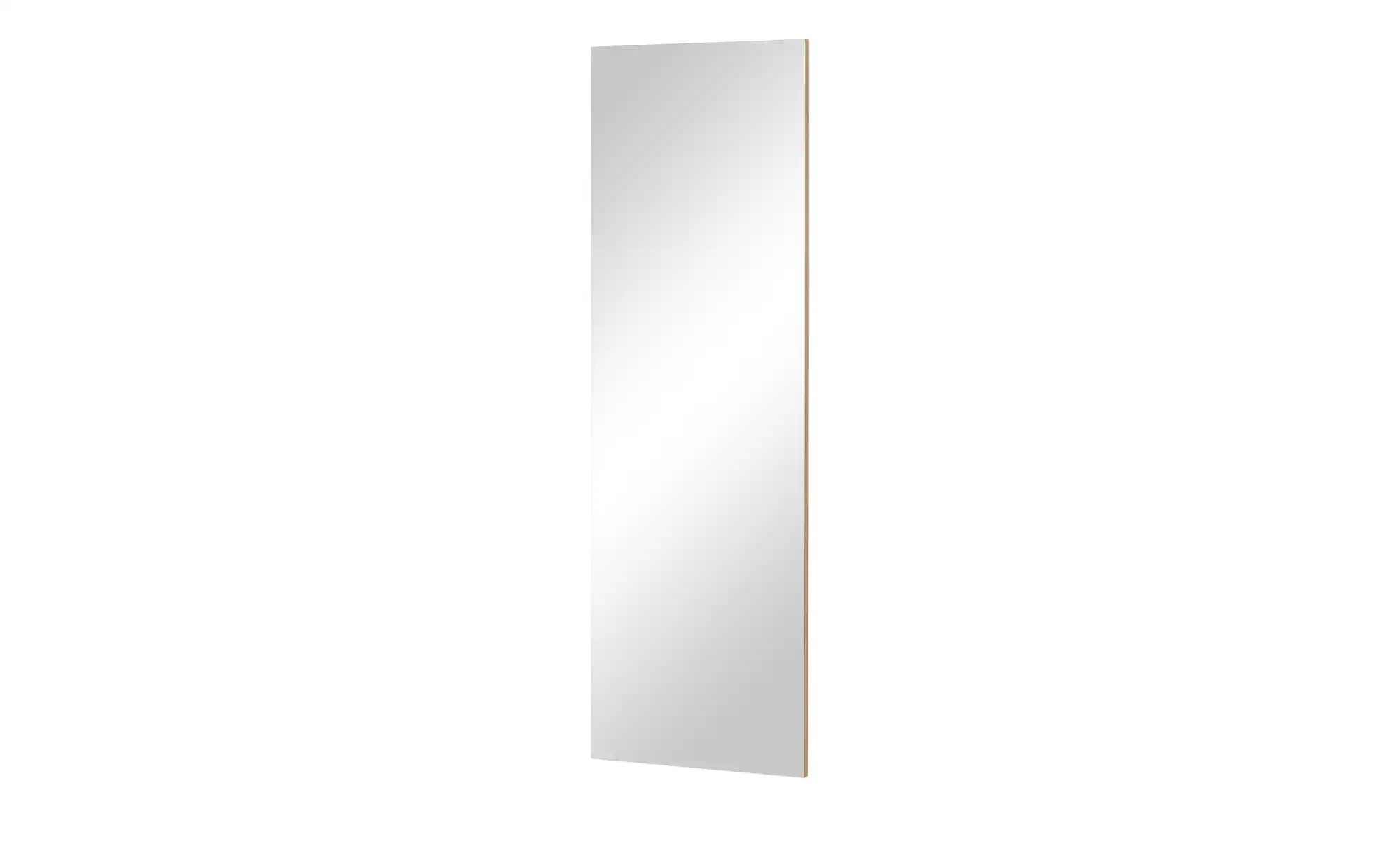 Spiegel 48 x 147 cm Limit