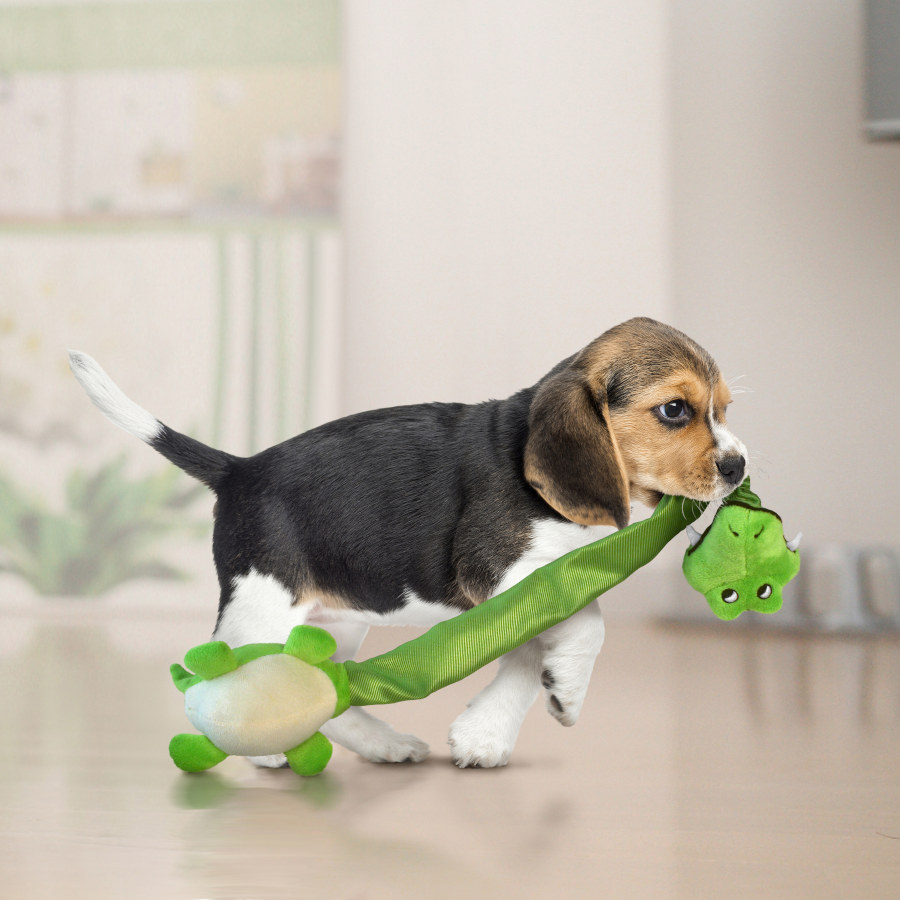 Brinquedo de pelúcia de girafa Kong Danglers para cães