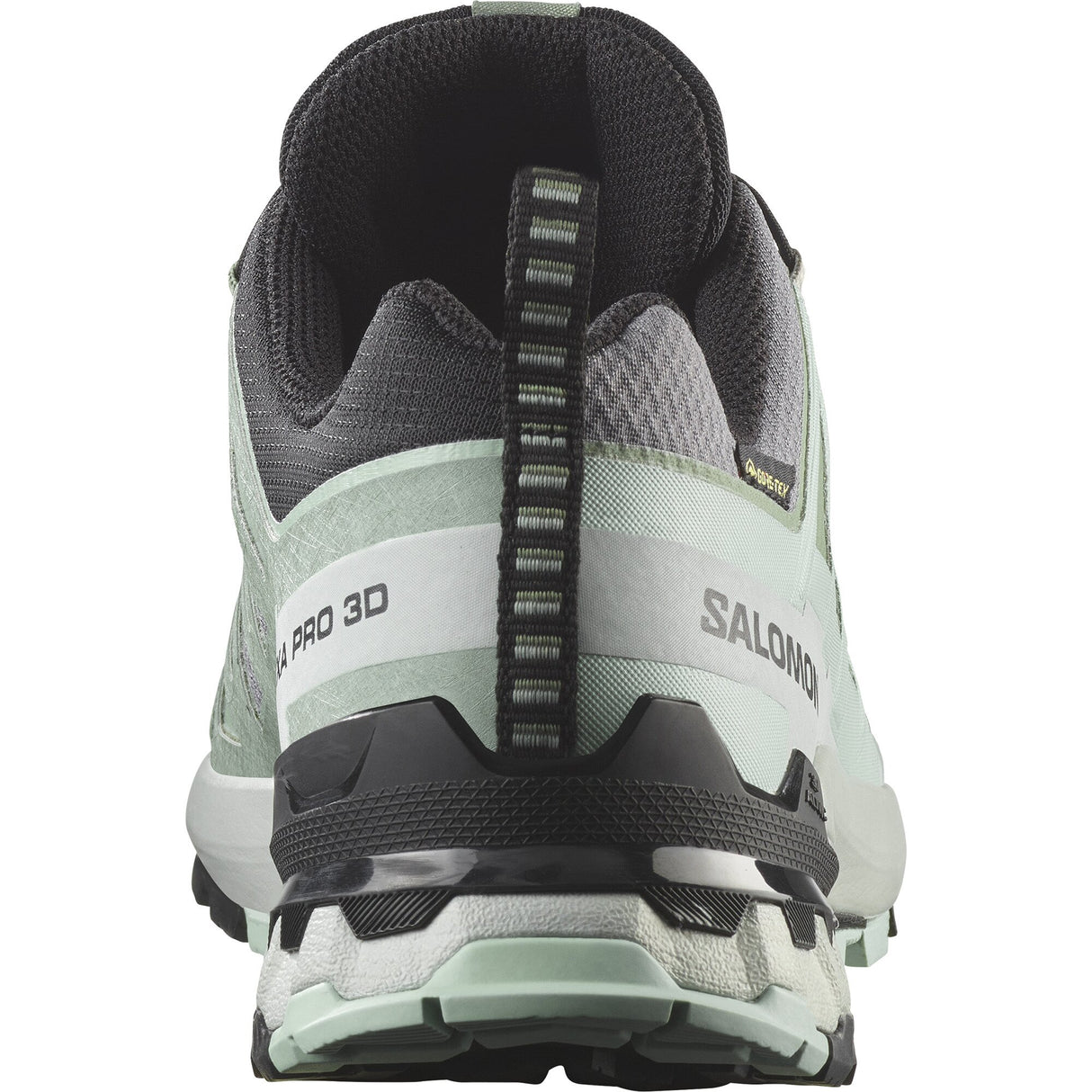 Salomon<br>XA Pro 3D V9 GTX W