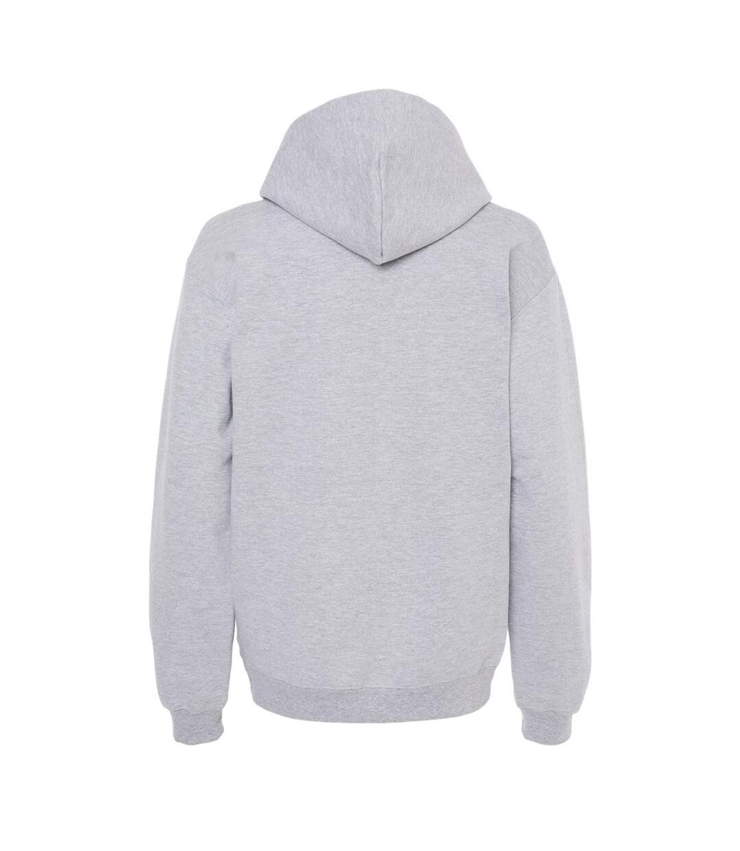 Gildan - Sweat à capuche SOFTSTYLE - Homme (Gris chiné) - UTPC5381