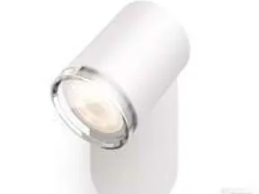 Philips Hue White Ambiance Adore 1-Spot BT - Badeværelse