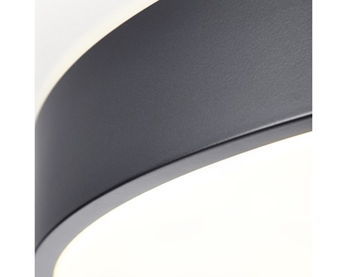 LED plafondlamp CCT dimbaar 60W 4800 lm 3000-6500 K Ø 49 cm Slimline wit/zwart + afstandsbediening