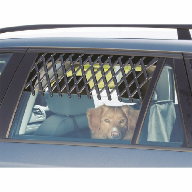 Grille aération pour fenêtre de voiture