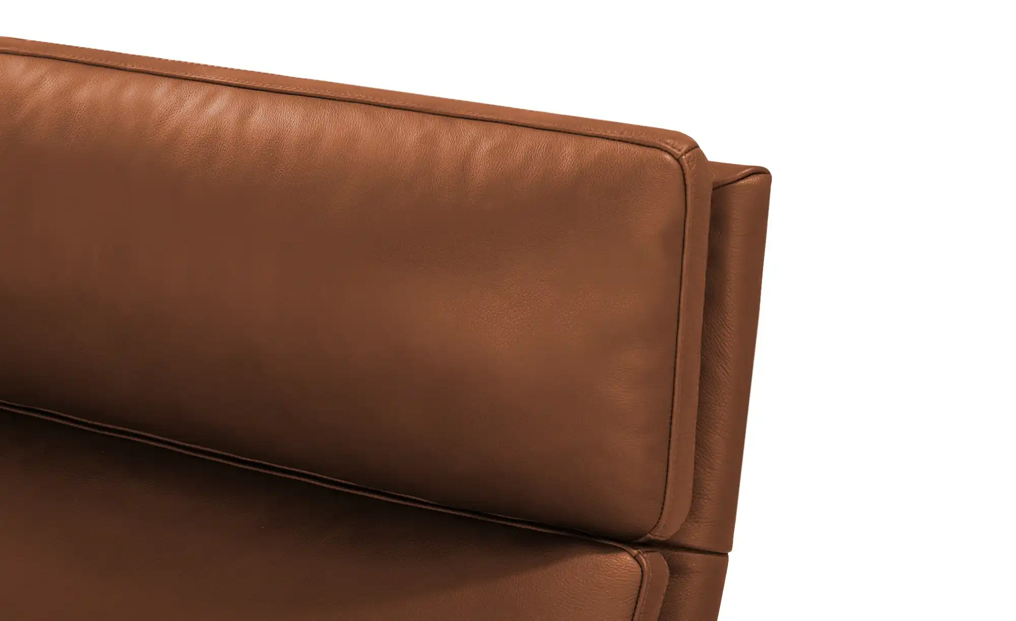 erpo just relax Ledersofa JR 290 Trento