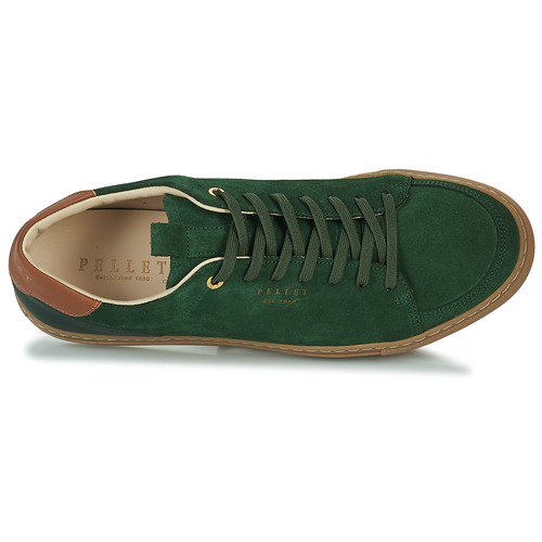 Pellet - SIMON - VELOURS VERT SAPIN