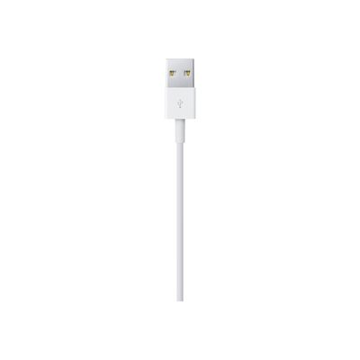 Apple câble Lightning - Lightning / USB - 1 m