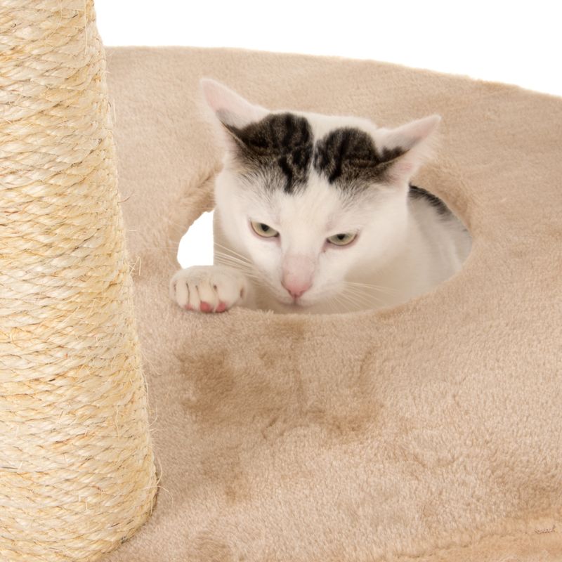 Arbre à chat Tanière d'ours à Prix Discount | bitiba.fr