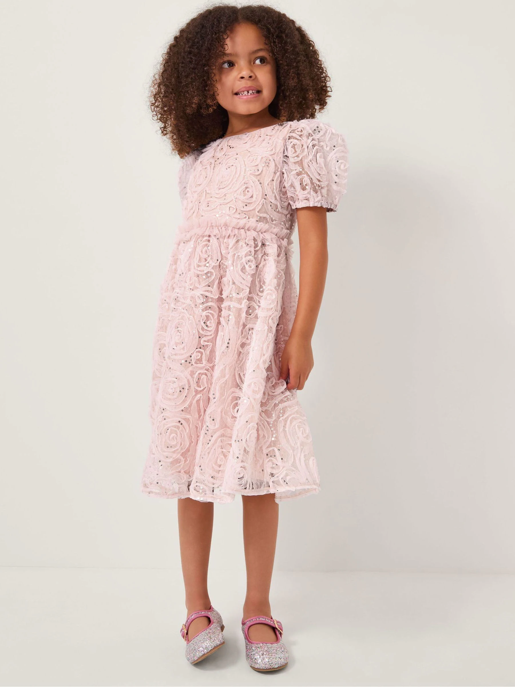 Monsoon Constance Appliqué Rose Party Dress