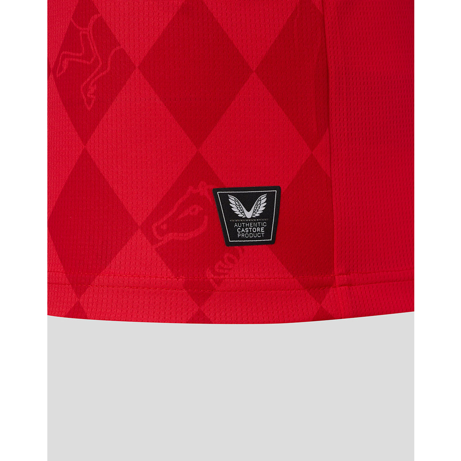 Castore FC Twente Thuis Shirt 2025/2026