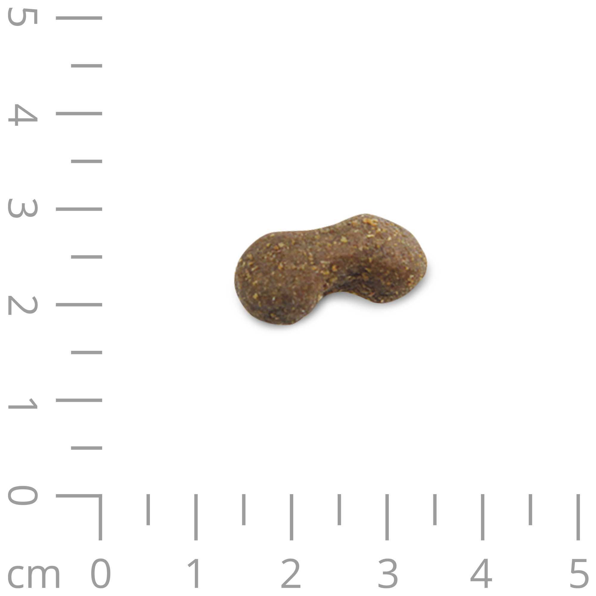 Schecker Hundesnack - hochwertiger Schwarzkümmel Snack