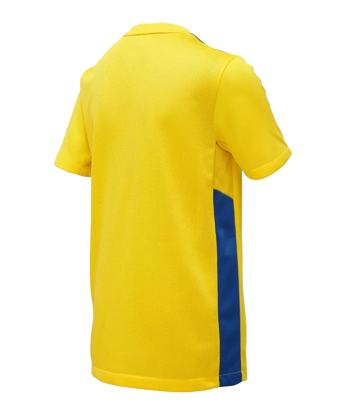 Nike Park Derby IV Trikot Kids Gelb Blau F720