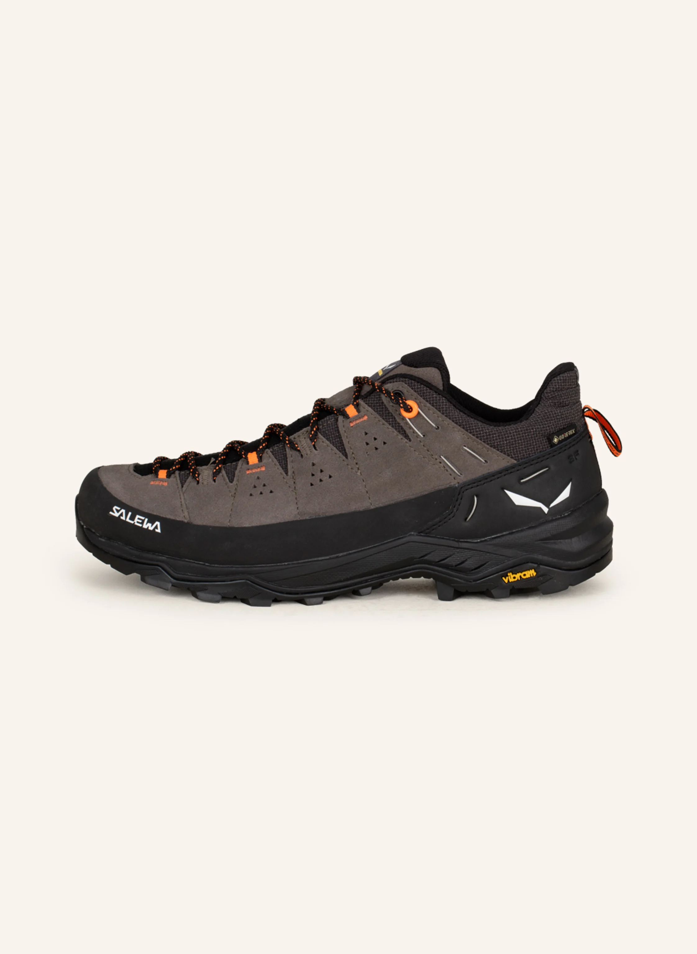 SALEWA Wanderschuhe ALP TRAINER 2 GTX