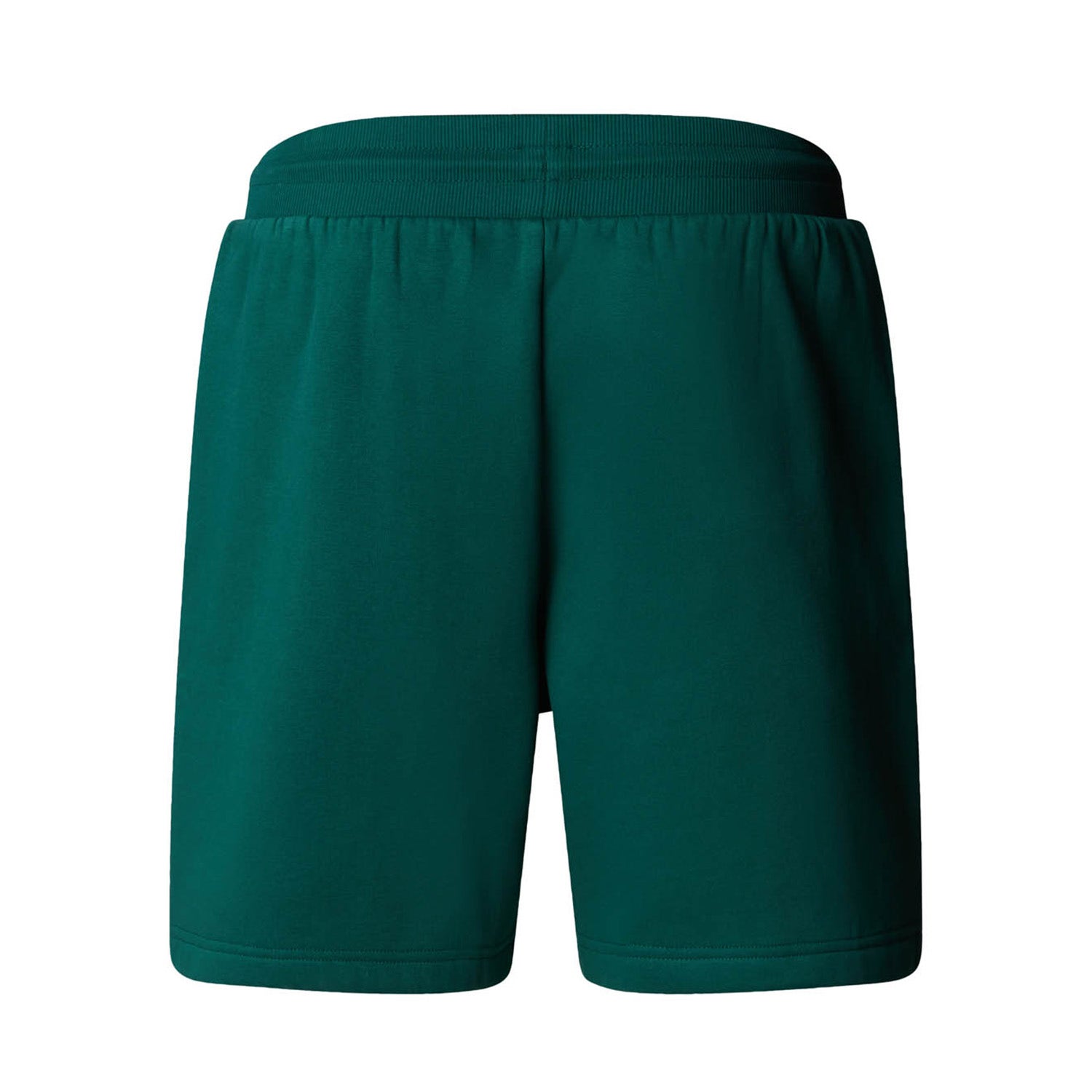 The North Face  Box Regular Shorts