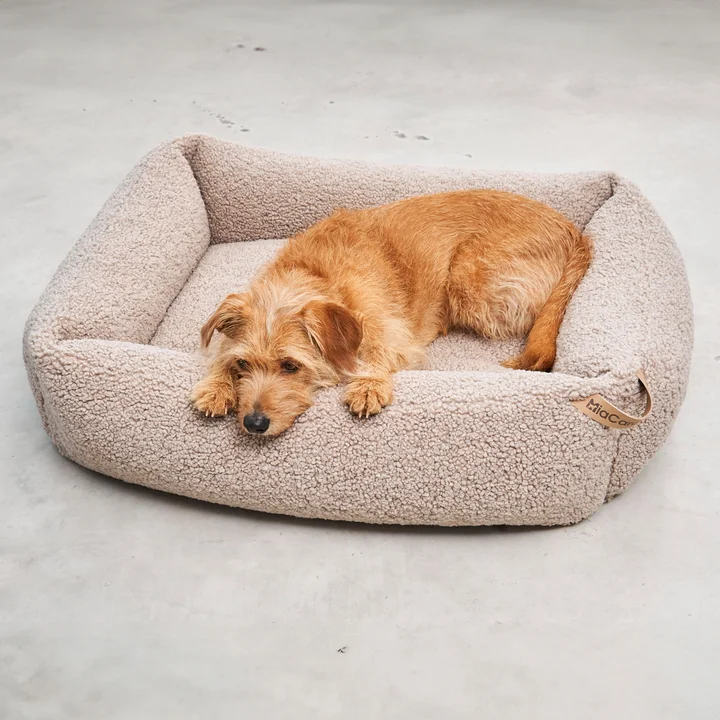 MiaCara - Senso Hundebett, L, kiesel