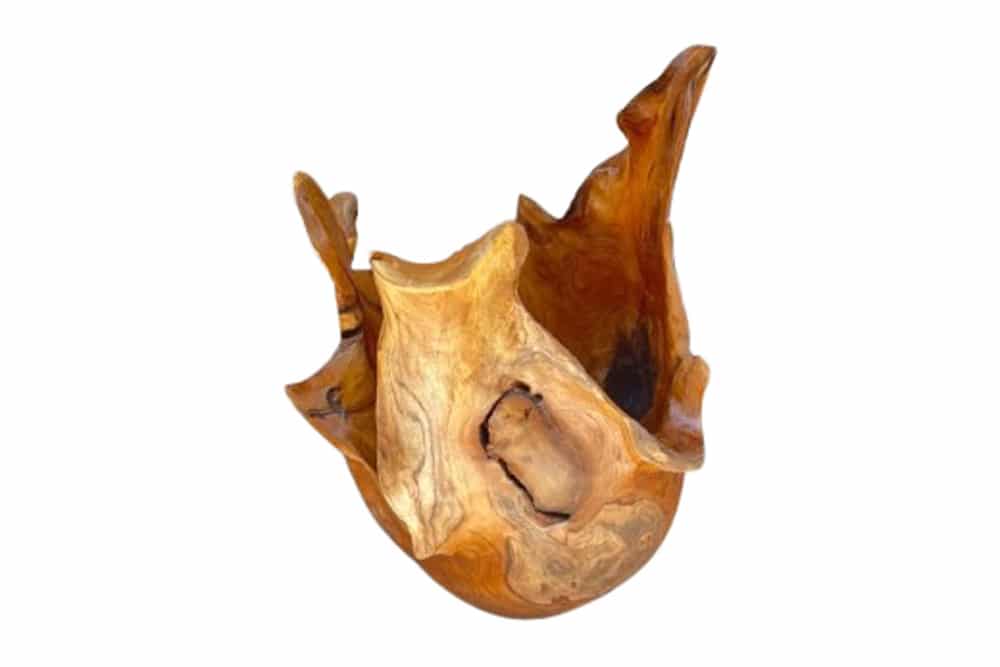 Einzigartige Schale ORGANIC 40cm natur Teak aus Wurzelholz