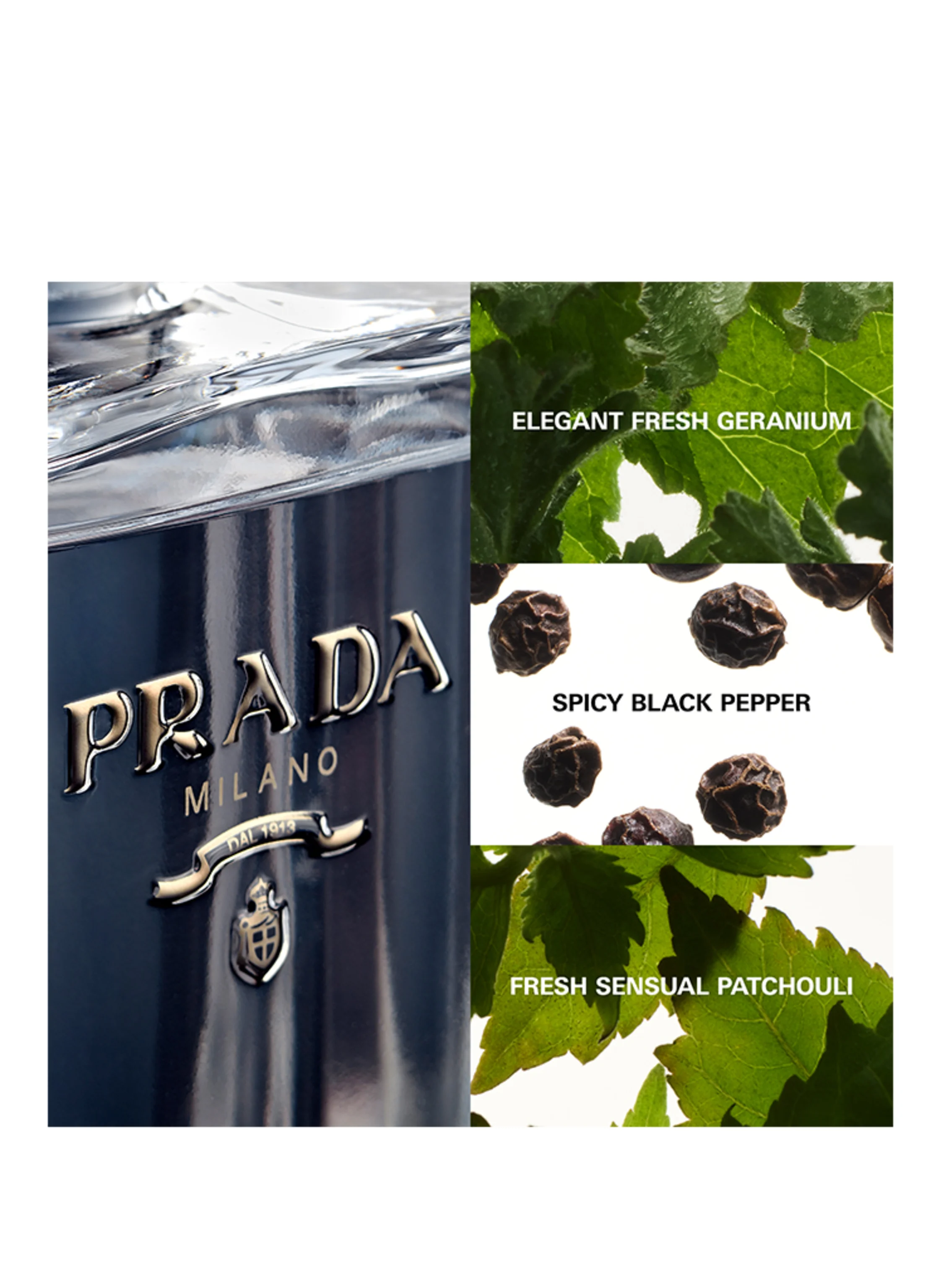 PRADA Parfums L'HOMME